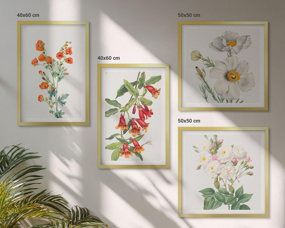 WANDBILDER 4er Set - 50x50 cm & 40x60 cm Goldrahmen - Retro-Blumenmalerei - Goldfarben, Kunststoff (50/50cm) - ArtPrintCave