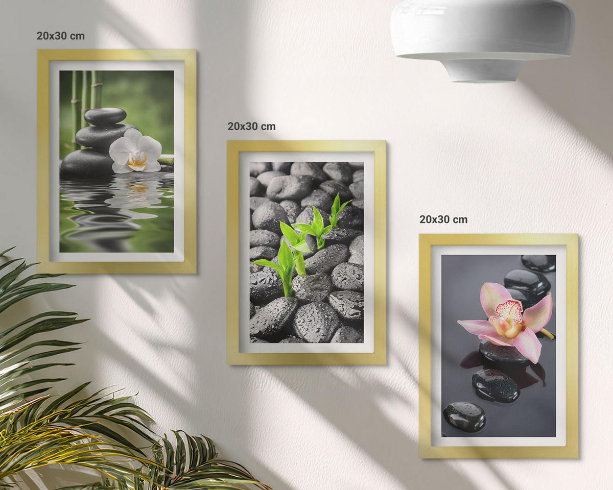 BILDER SET 3er Set - 20x30 cm Goldrahmen - Eine ruhige Zen-Komposition aus Blumen und Wasser - Goldfarben, Kunststoff (20/30cm) - TULUP