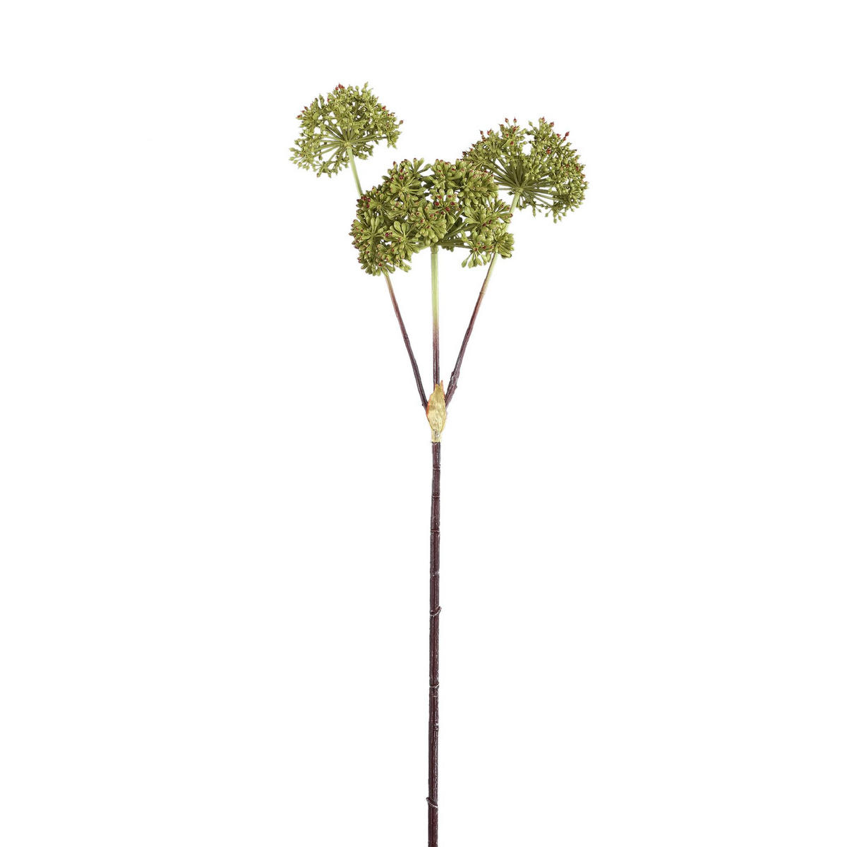 KUNSTZWEIG Garden Grün 30/35/78cm - Grün, Metall (35/78/30cm) - PTMD Collection