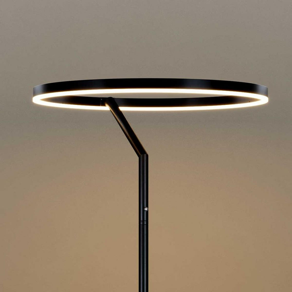 LED-STEHLAMPE Ring Schwarz Ø 60cm - Schwarz, Metall (60/60/172.5cm) - s.luce