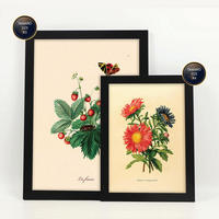 POSTER Set Mit 6 Schmetterlinge In Vintage A3 & A4 Schwarzer Rahmen - Schwarz, Papier (29/3cm) - Nacnic