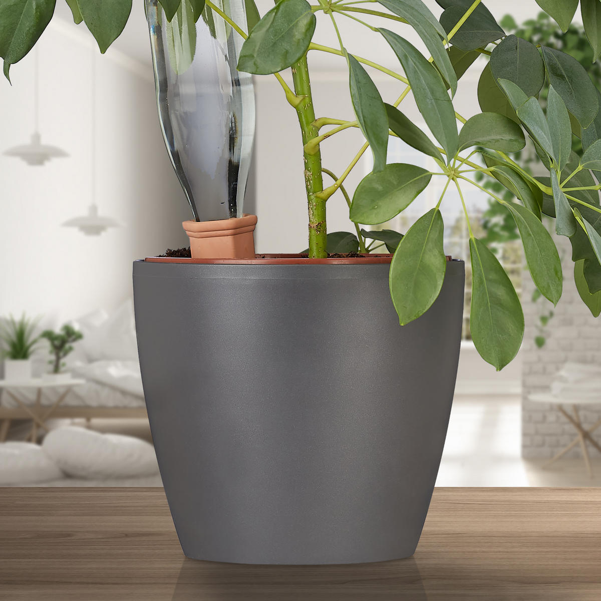 4XTONSPITZEN Bewässerung - Hellbraun, Keramik (5/12.5/4.5cm) - Relaxdays
