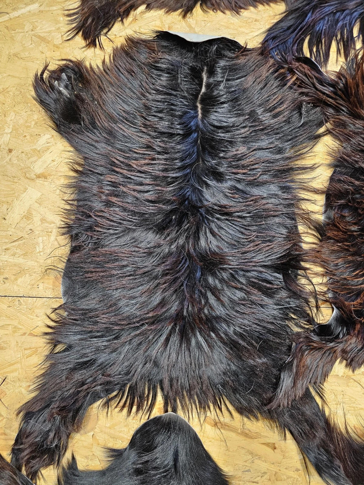 FELL Ziegenfell Eher Dunkel Naturfarben Teppich ca. 90 cm 1.Wahl - Dunkelbraun/Schwarz, Fell (50/90cm) - Provellus