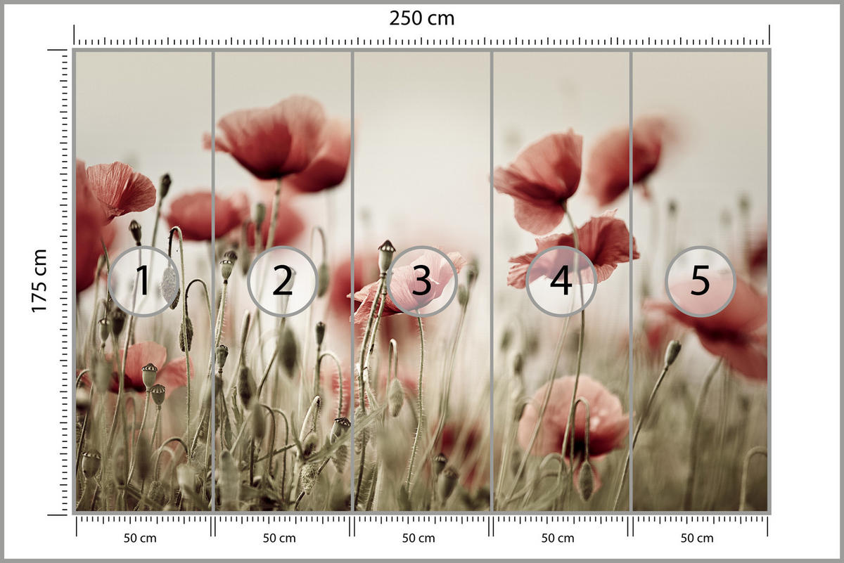 FOTOTAPETE für Wohnzimmer Zarte Mohn Blumen Wiese Rot 250x175 - Beige/Rot, Papier (250/175cm) - Muralo