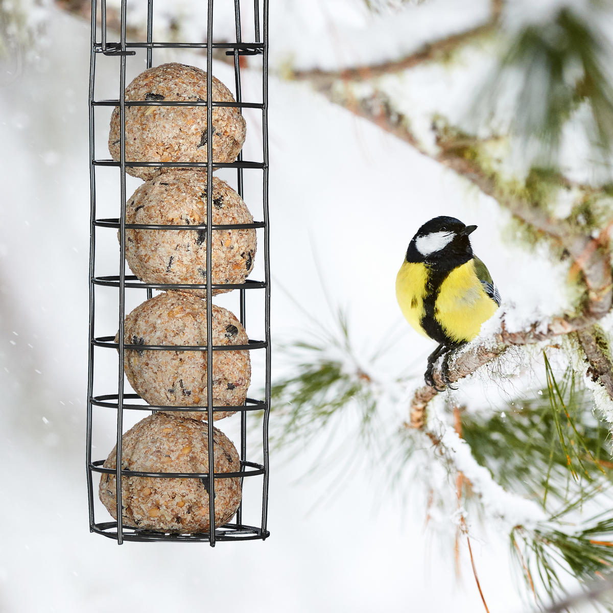 MEISENKNÖDELHALTER - Schwarz, Kunststoff/Metall (8.5/31/8.5cm) - Relaxdays