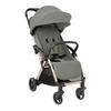 BUGGY Eden bis 22 kg grün Federung Regenschutz zusammenklappbar - Grün, Metall (62/47/100cm) - Kikka boo