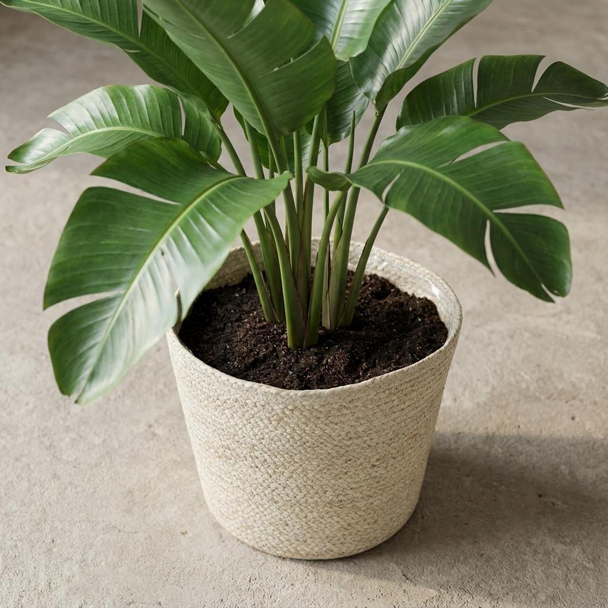 PFLANZENTOPF Selin Ø26cm Höhe 23cm - Naturfarben, Naturmaterialien (26/23cm) - MEERGroothandel