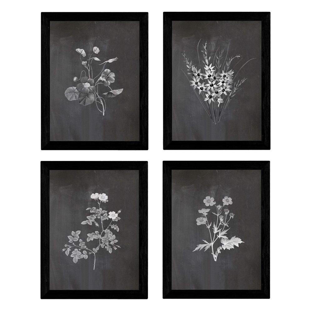 POSTER Set mit 4 Botanischen Stils Sensitive A3 Rahmenlos - Klar, Papier (29.7/3cm) - Nacnic