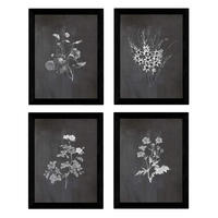POSTER Set mit 4 Botanischen Stils Sensitive A3 Rahmenlos - Klar, Papier (29.7/3cm) - Nacnic