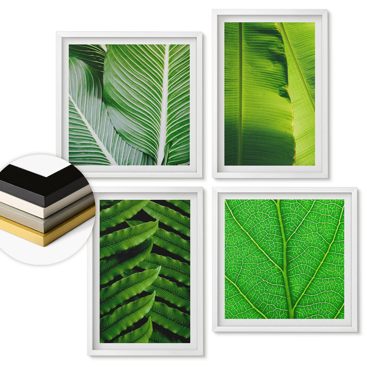 WANDBILDER 4er-Set - 50x50 cm & 40x60 cm Weißer Rahmen - Nahaufnahme von tropischen Blättern - Weiß, Kunststoff (50/50cm) - ArtPrintCave