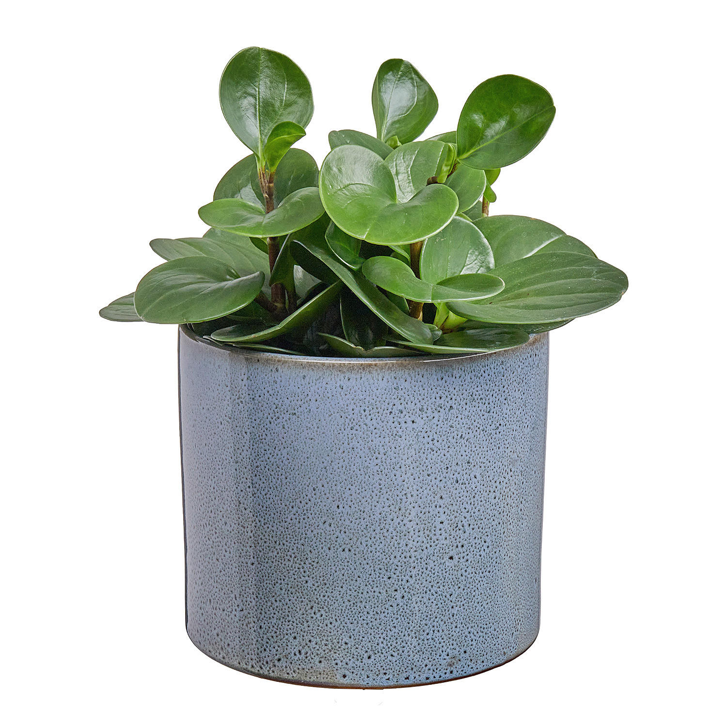 BLUMENTOPF Glaze - Petrol/Grau, Keramik (16cm) - BUTLERS