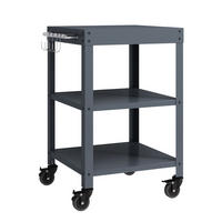 GARTEN-SERVIERWAGEN Bolognano - Dunkelgrau, Metall (50/80.5/50cm) - casa.pro