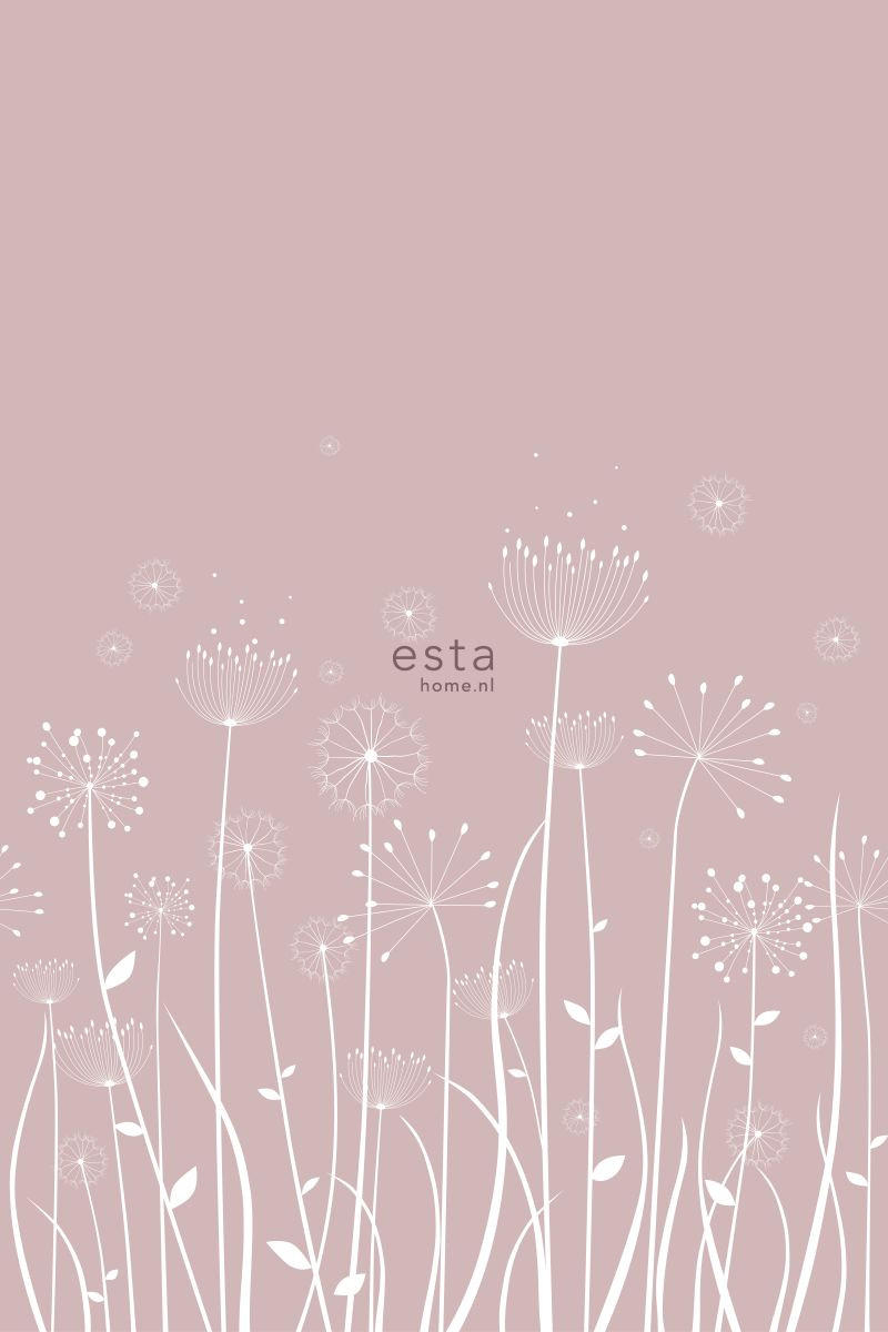 FOTOTAPETE Pusteblume 200 x 279 cm - Pink, Papier (200/279cm) - ESTAhome