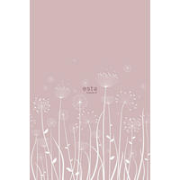 FOTOTAPETE Pusteblume 200 x 279 cm - Pink, Papier (200/279cm) - ESTAhome