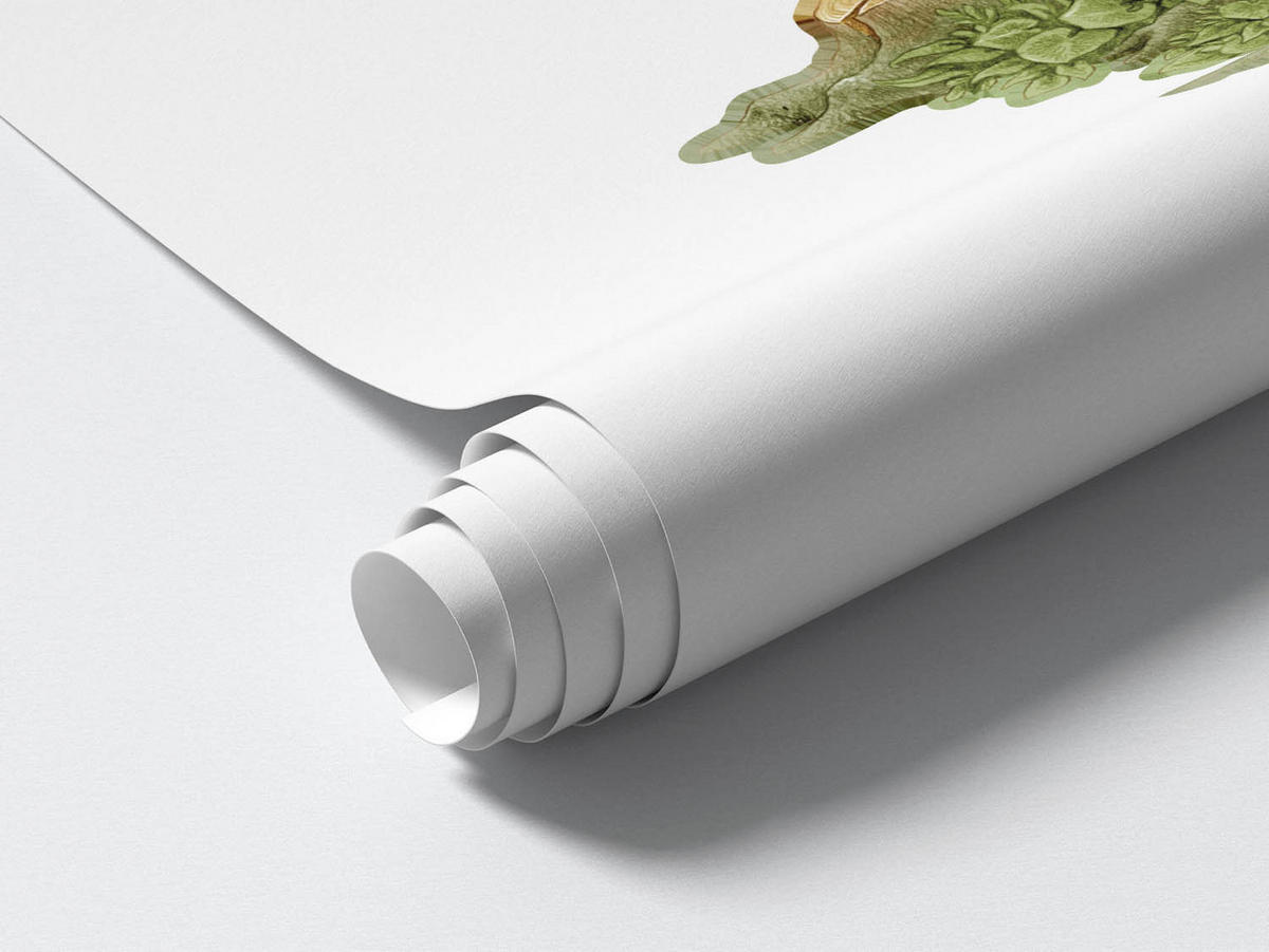 WANDAUFKLEBER 60x168cm - Zauberhäuser - Multicolor, Kunststoff (60/168/0.1cm) - Wallfluent