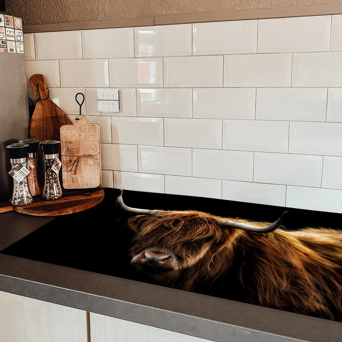 HERDABDECKPLATTE Schottischer Highlander - Hörner - Schwarz - Tiere - Natur - Wild - Kuh Induktionsschutz 89.6x51.6 cm - Cognac, Kunststoff (89.6/51.6/0.2cm) - MuchoWow