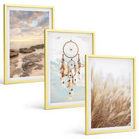 BILDER SET 3er Set - 40x60 cm Goldrahmen - Wolkenmeer, Traumfänger, Gras - Goldfarben, Kunststoff (40/60cm) - TULUP