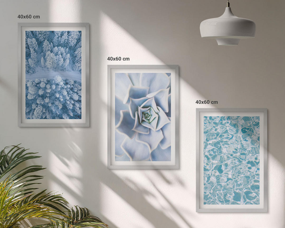 WANDBILDER 3er Set - 40x60 cm Silberner Rahmen - Winterwald blaue Blume Wasser - Silberfarben, Kunststoff (40/60cm) - ArtPrintCave