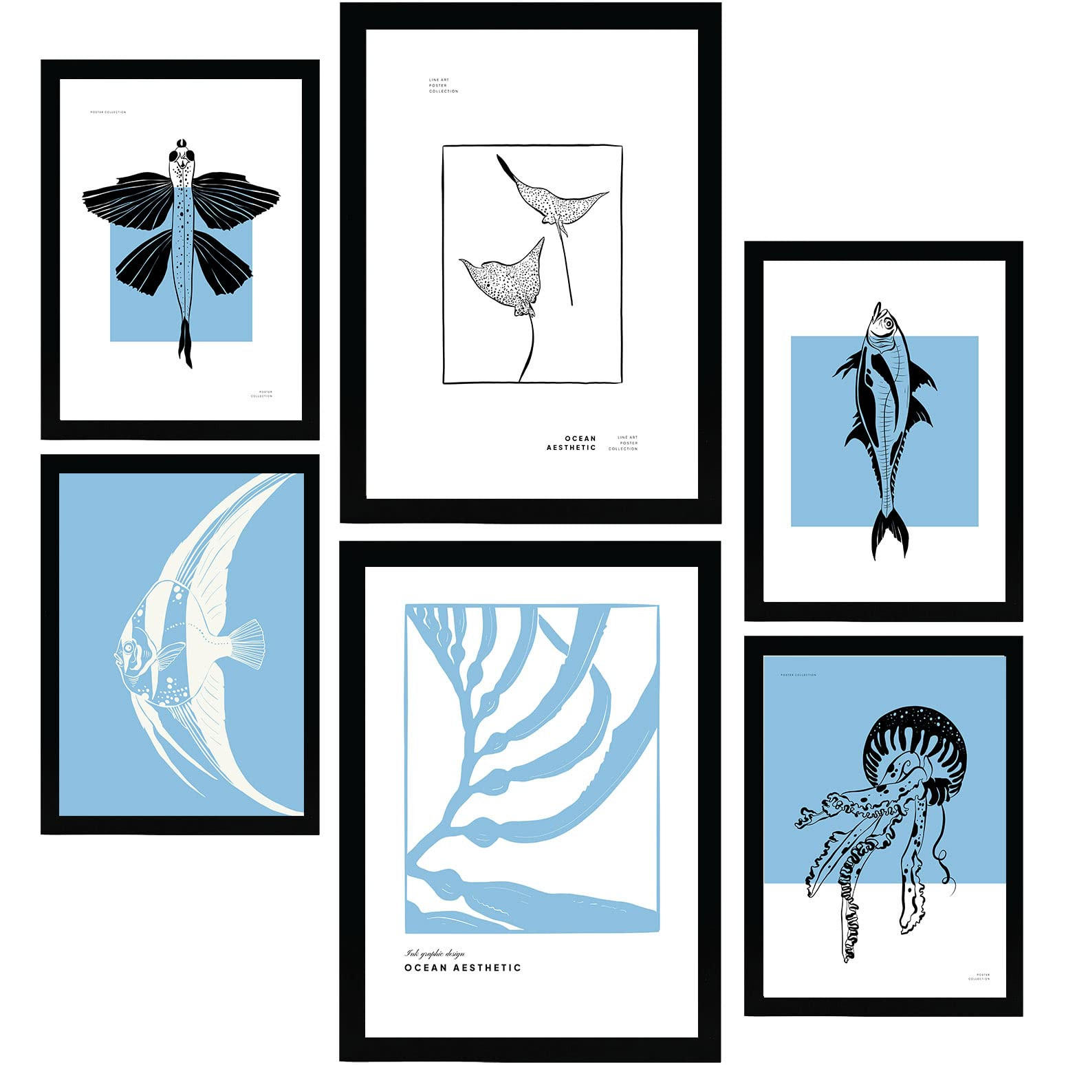 POSTER Set Mit 6 In Schwarzer Tinte Seltener Fisch Kunstdrucke Von Meer Und Ozean Für Innenarchitektur A3 & A4 Schwarzer Rahmen - Schwarz, Papier (29/3cm) - Nacnic