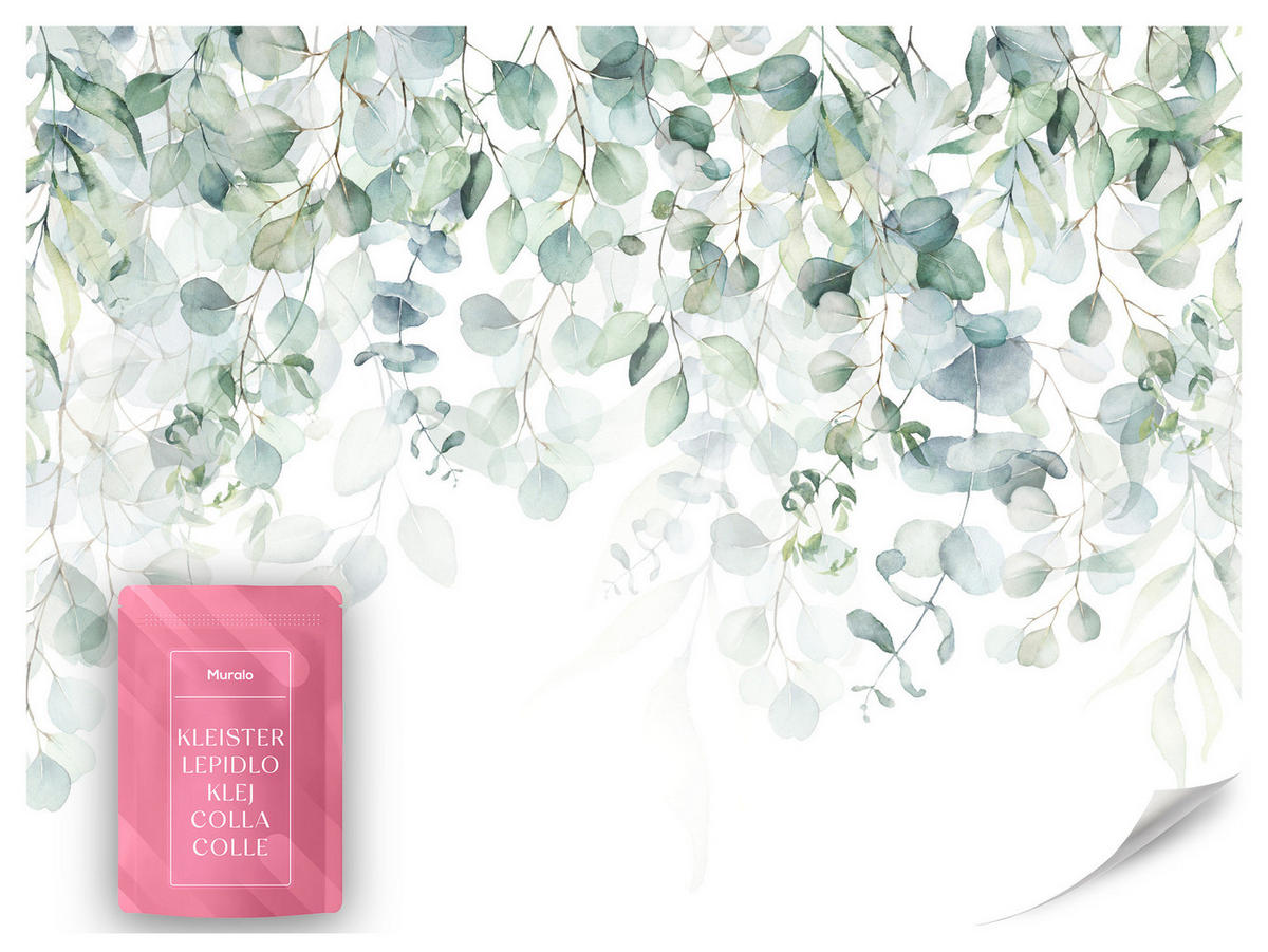 FOTOTAPETE Aquarell Eukalyptusblätter Pflanzen Natur 250x175 - Weiß/Grün, Papier (250/175cm) - Muralo