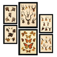 POSTER Set Mit 6 Tiere In Vintage A3 & A4 Rahmenlos - Klar, Papier (29/3cm) - Nacnic