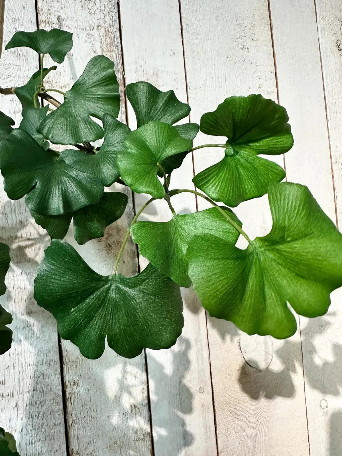 KUNSTPFLANZE Künstlicher Gingko-Zweig - Gabriele 60 cm - Grün, Kunststoff (60cm) - aplanta