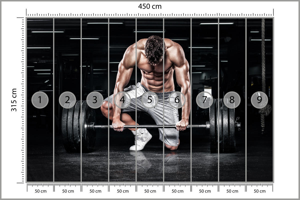 FOTOTAPETE Muskulöser Mann Fitnessstudio Training Sport 450x315 - Beige/Schwarz, Papier (450/315cm) - Muralo