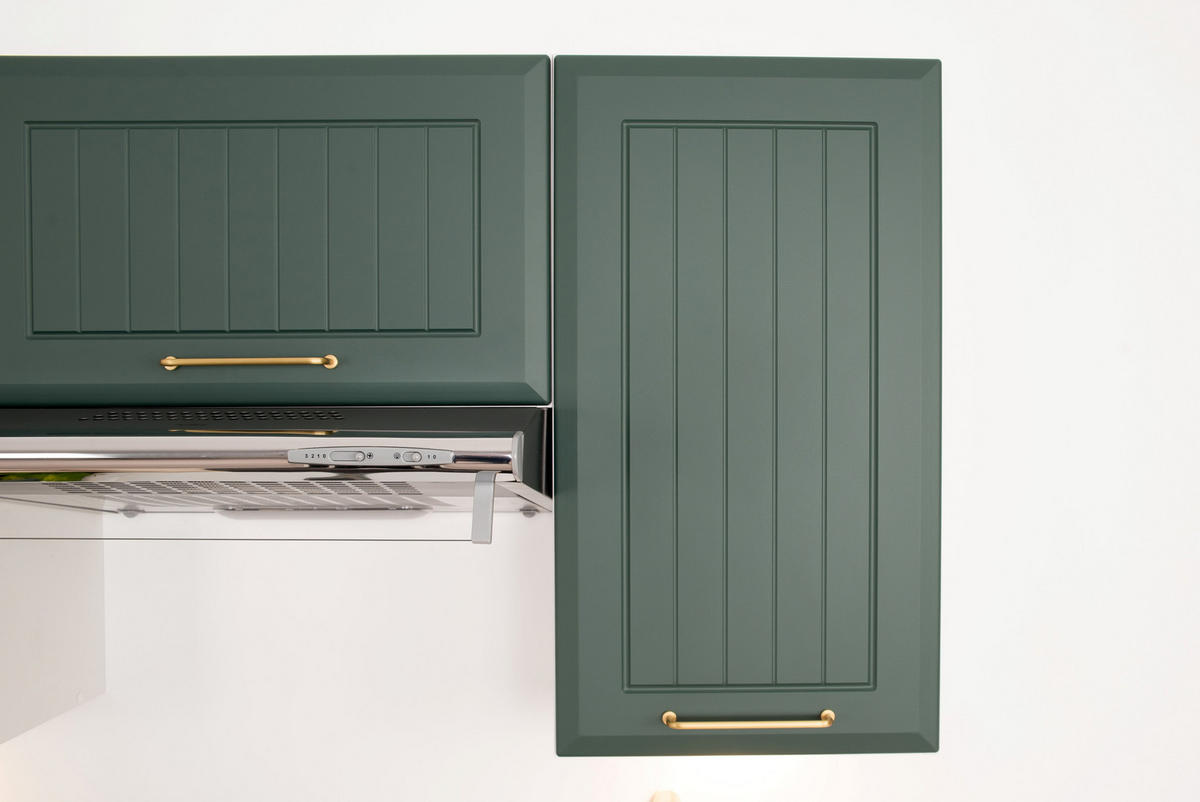 HÄNGESCHRANK W80 - ARVION - Stilvolle Wandlösung - Grün, Holz/Metall (80/72/30cm) - ROYAL24_MARKT