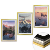 WANDBILDER 3er Set - 40x60 cm Goldrahmen - Berglandschaften im Hintergrund - Goldfarben, Kunststoff (40/60cm) - ArtPrintCave