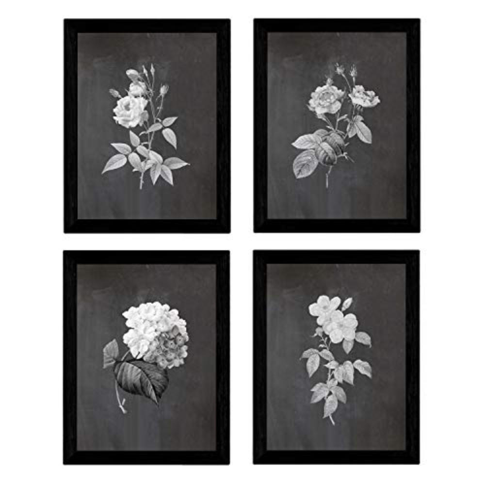 POSTER Set mit 4 Botanischen Stils Rosa weich Schwarz Hintergrund A3 Rahmenlos - Klar, Papier (29.7/3cm) - Nacnic