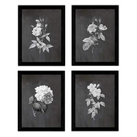 POSTER Set mit 4 Botanischen Stils Rosa weich Schwarz Hintergrund A3 Rahmenlos - Klar, Papier (29.7/3cm) - Nacnic
