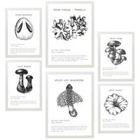 POSTER Set Mit 6 Pilzkomposition Arten & Details A3 & A4 Weißer Rahmen - Weiß, Papier (29/3cm) - Nacnic