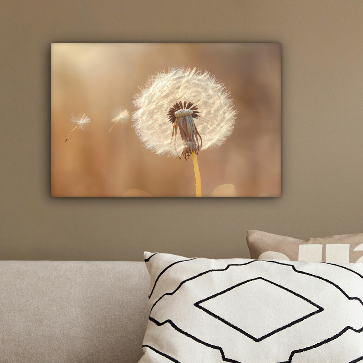 LEINWANDBILD Löwenzahn - Beige - Natur - Blume 30x20 cm - Hellbraun, Textil (30/20cm) - MuchoWow