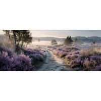 GLASBILD 125x50 cm Natur lila ruhig - Beige, Glas (125/50cm) - artissimo