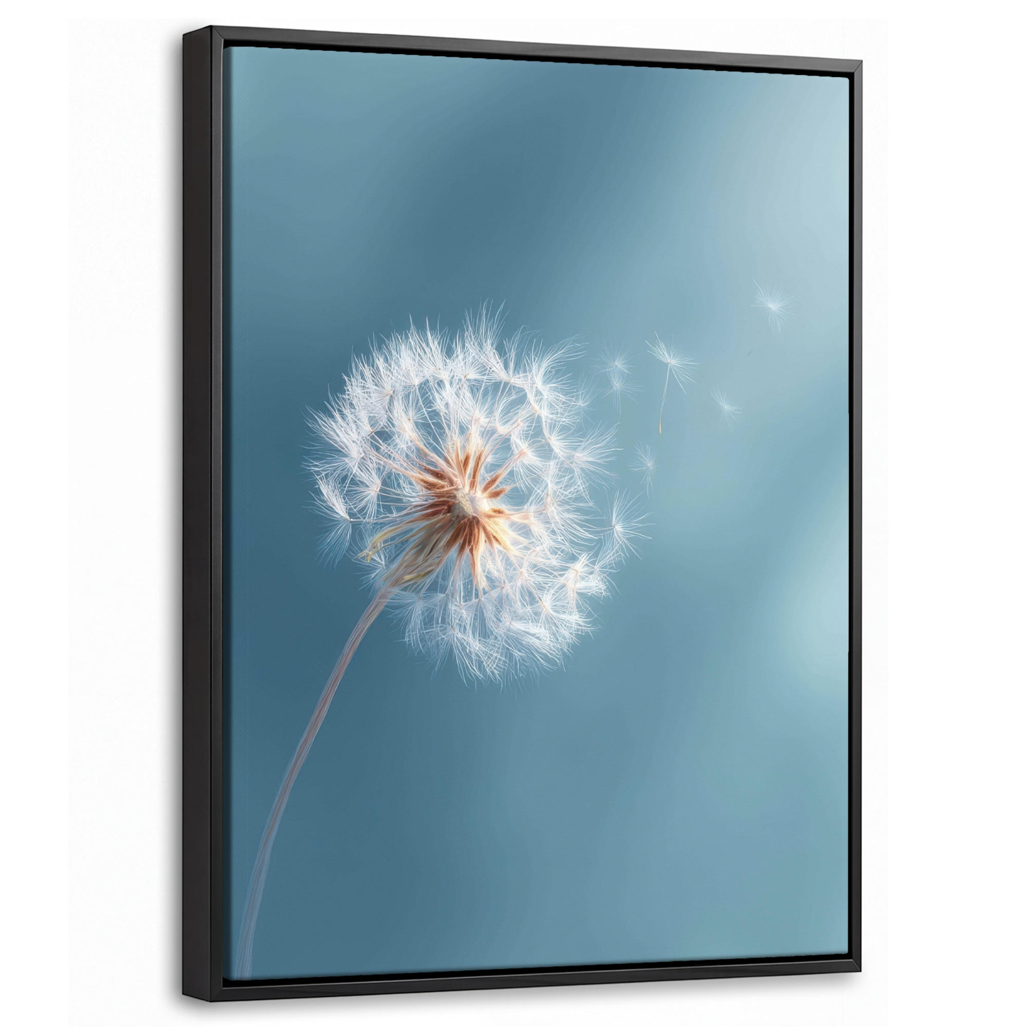 LEINWAND Bilder mit Rahmen - Löwenzahn - Wind - Blau - 30x40 - Blaugrau, Textil (30/40cm) - MuchoWow