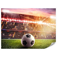 FOTOTAPETE für Jugendzimmer Fußballstadion Nachtlich Lichter Tribünen 300x210 - Gelb/Rot, Papier (300/210cm) - Muralo