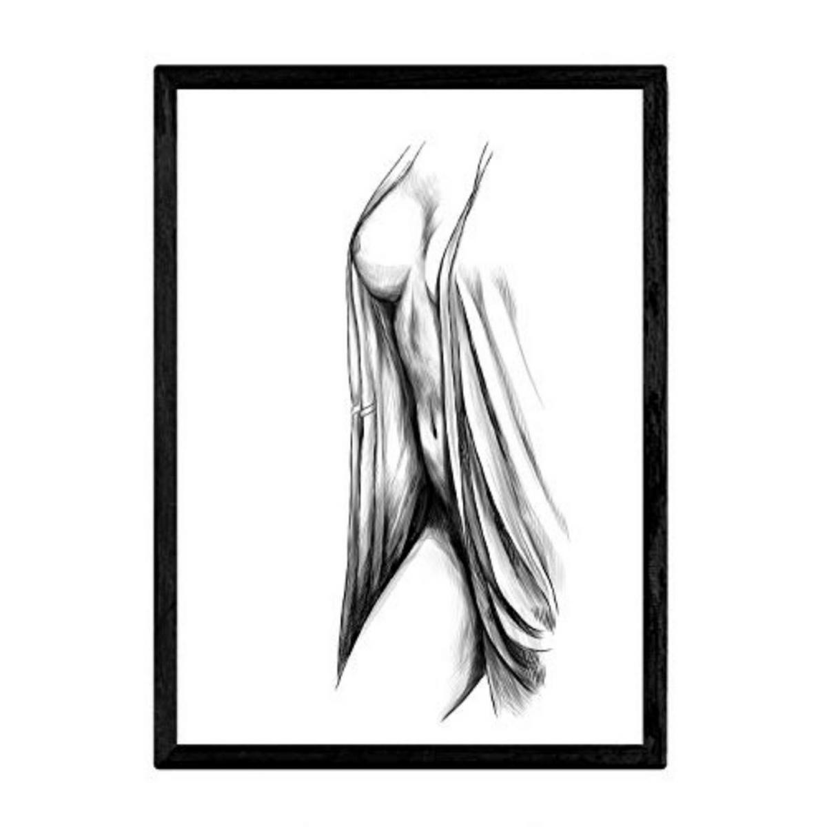 POSTER Erotik Chest Film A3 Rahmenlos - Klar, Papier (29.7/5/42cm) - Nacnic