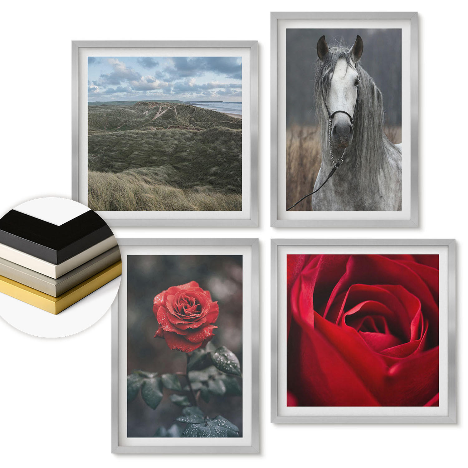 WANDBILDER 4er Set - 50x50 cm & 40x60 cm Silberner Rahmen - Rote Rosen auf pferdegrauem Hintergrund - Silberfarben, Kunststoff (50/50cm) - ArtPrintCave