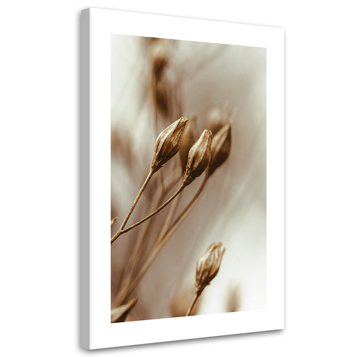 WANDBILD verwelkte blumenblätter - Beige, Textil (40/60cm) - Feeby