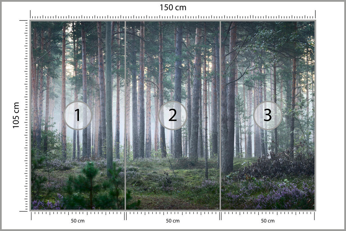 FOTOTAPETE für Wohnzimmer Nebelwald mit Bäumen Moos Grün 150x105 - Grau/Grün, Papier (150/105cm) - Muralo