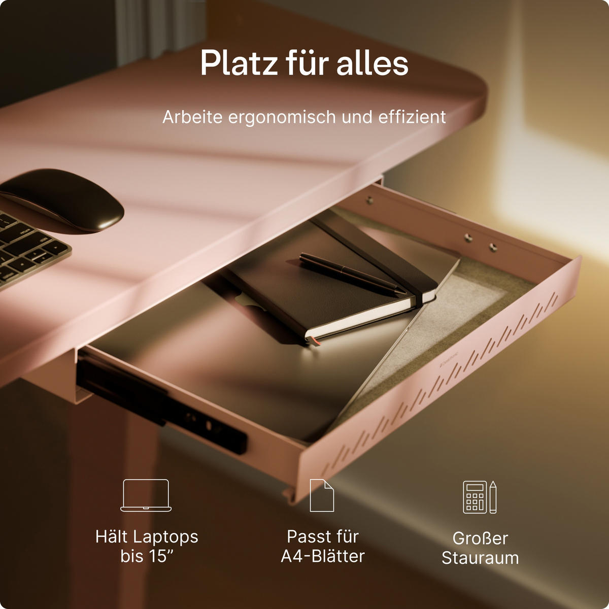 SCHUBLADEN-ORGANIZER unter dem Schreibtisch, 41x27x5cm Rosa - Pink, Metall (41/27/5cm) - Desktronic