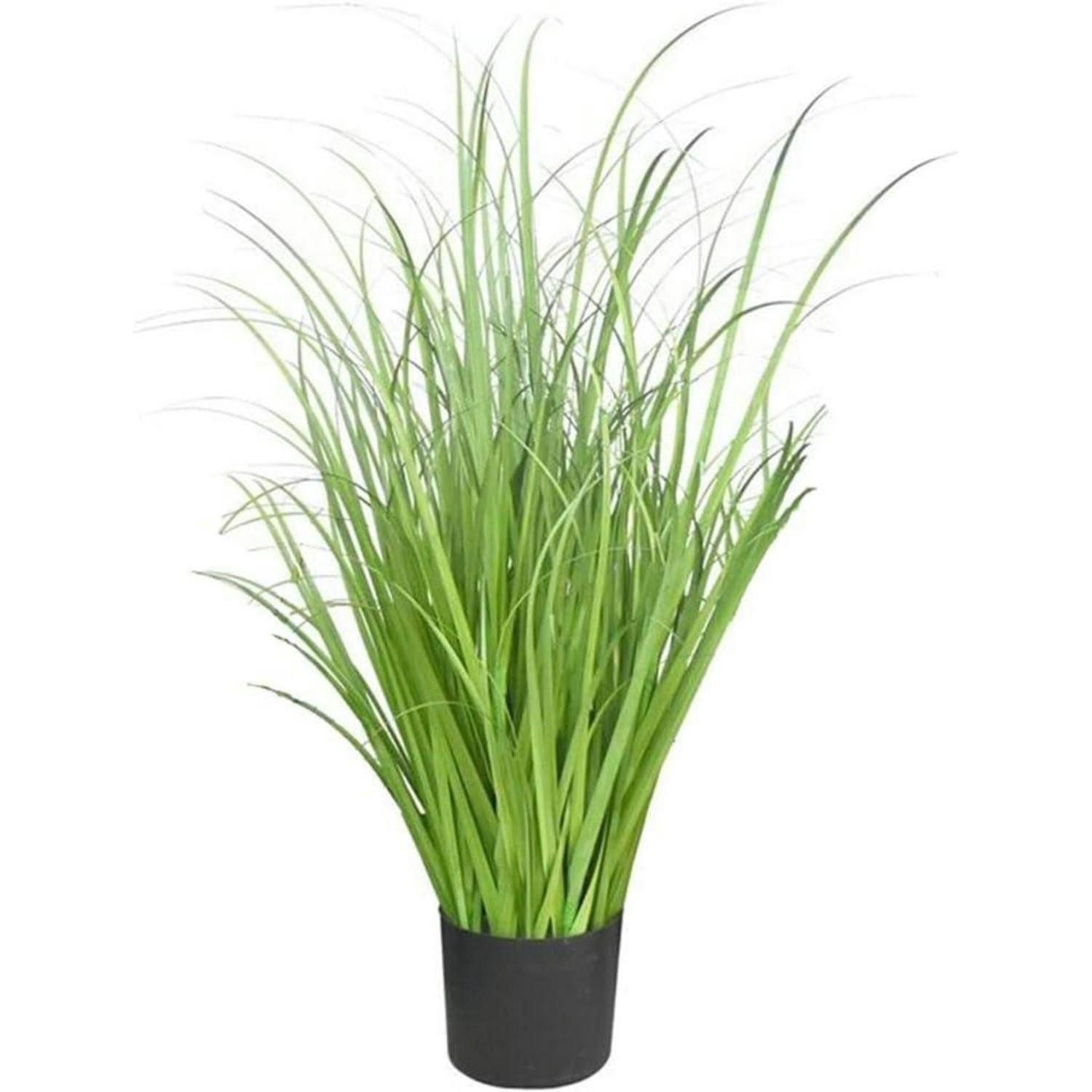 KÜNSTLICHES Gras 55 cm - Grün, Kunststoff (55cm)