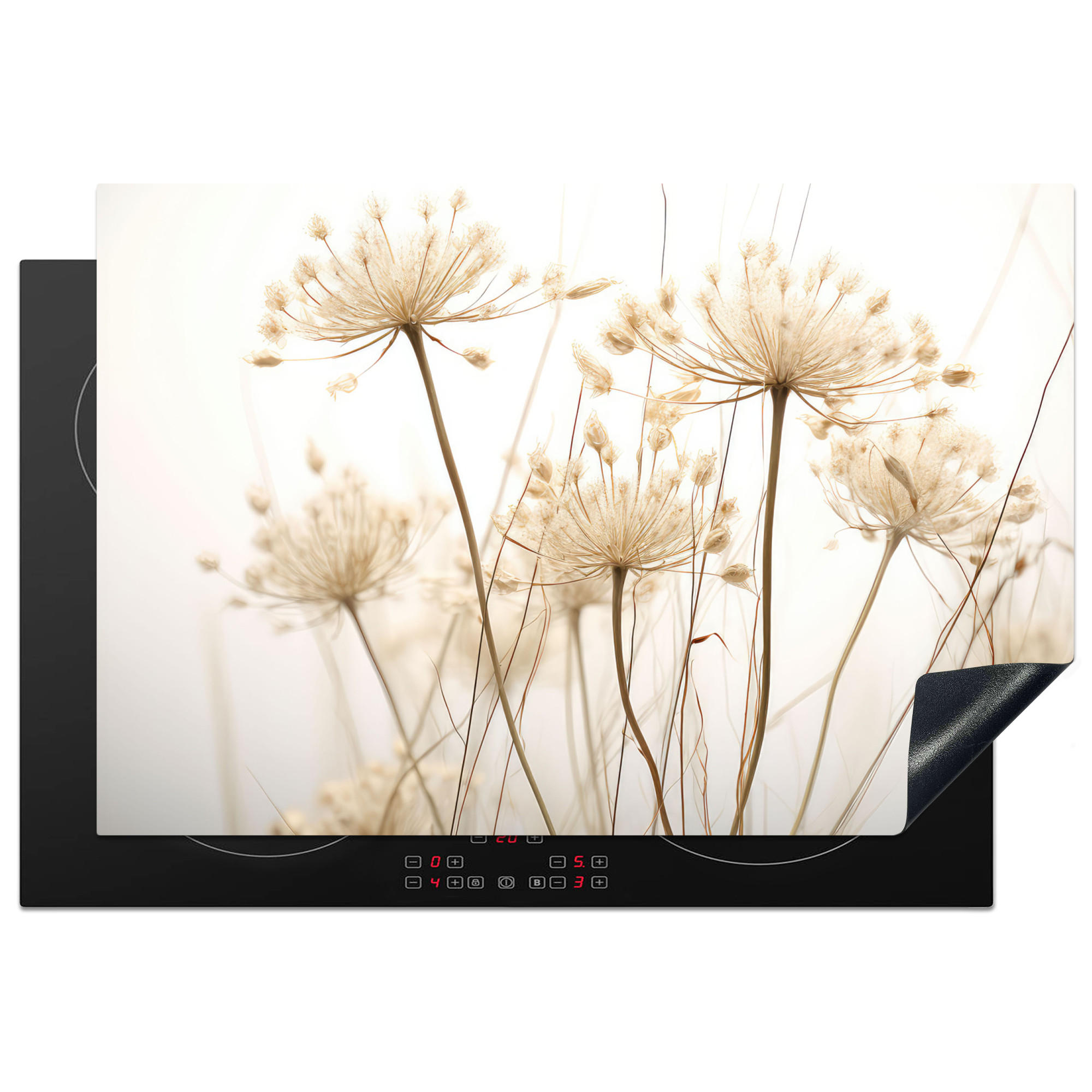 HERDABDECKPLATTE Blumen - Weiß - Sonnenlicht 78x52 cm - Ecru, Kunststoff (78/0.2/52cm) - MuchoWow