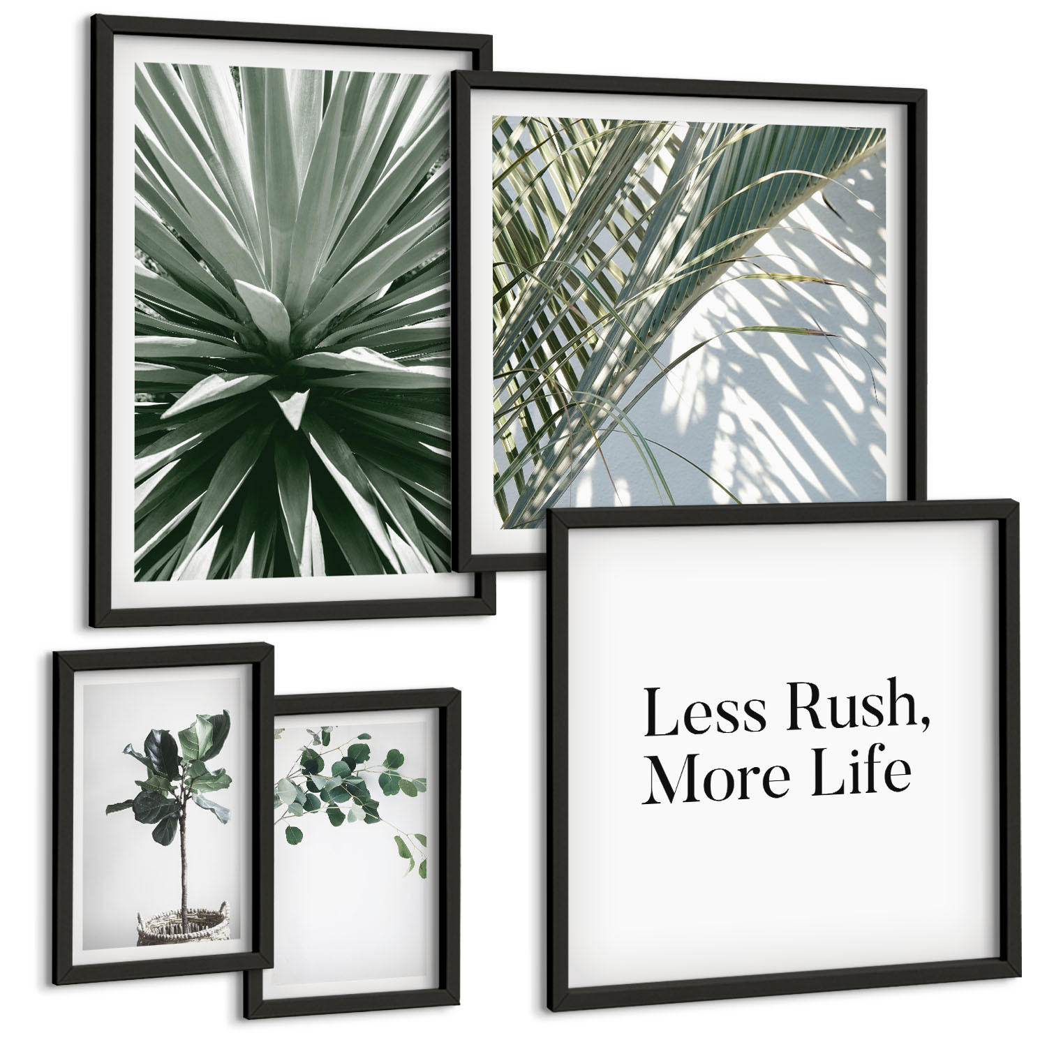 BILDER SET 5er Set - 50x50 cm & 20x30 cm & 40x60 cm Schwarzer Rahmen - Minimalismus mit grünen Pflanzen - Schwarz, Kunststoff (40/60cm) - TULUP