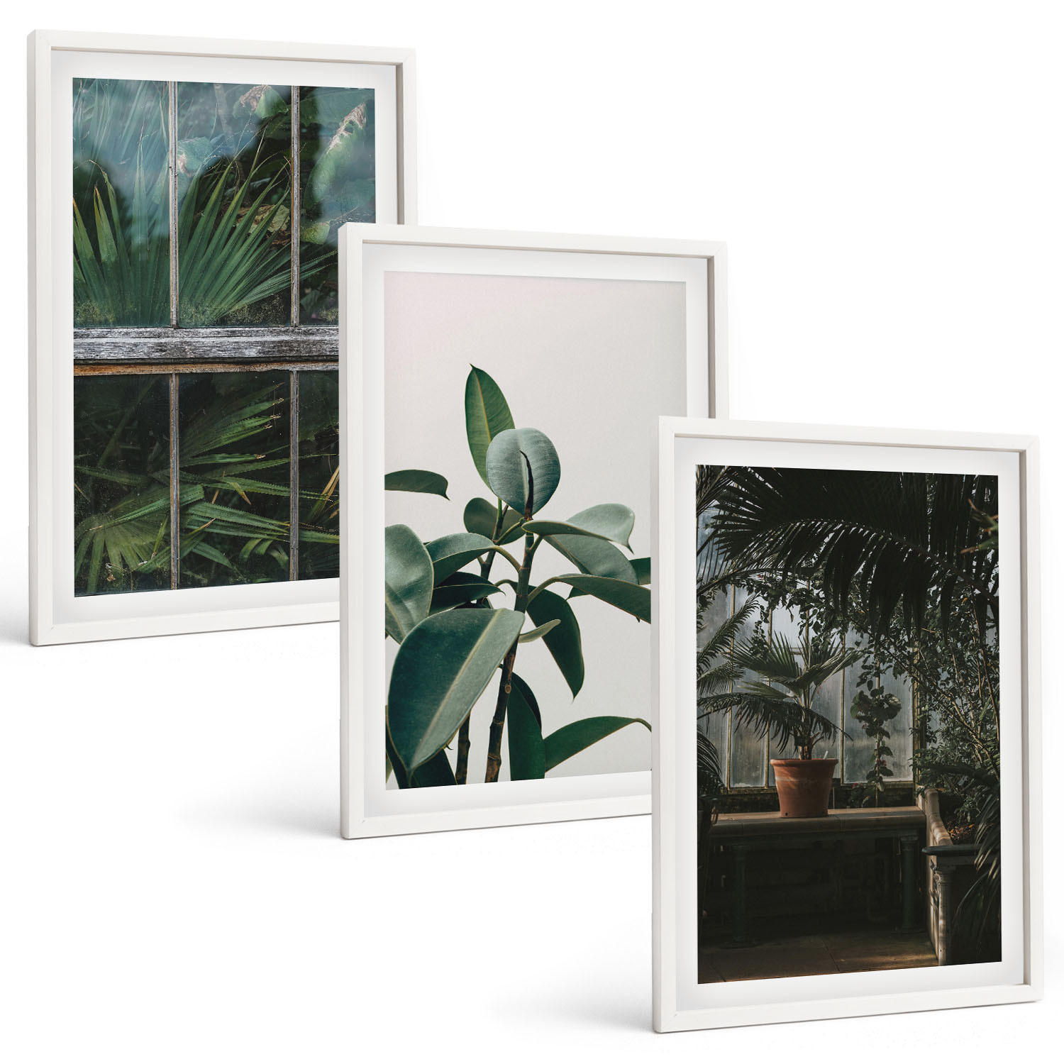 BILDER SET 3er Set - 40x60 cm Weißer Rahmen - Grüne Blätter an der Fensterpflanze - Weiß, Kunststoff (40/60cm) - TULUP