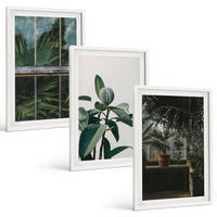 BILDER SET 3er Set - 40x60 cm Weißer Rahmen - Grüne Blätter an der Fensterpflanze - Weiß, Kunststoff (40/60cm) - TULUP