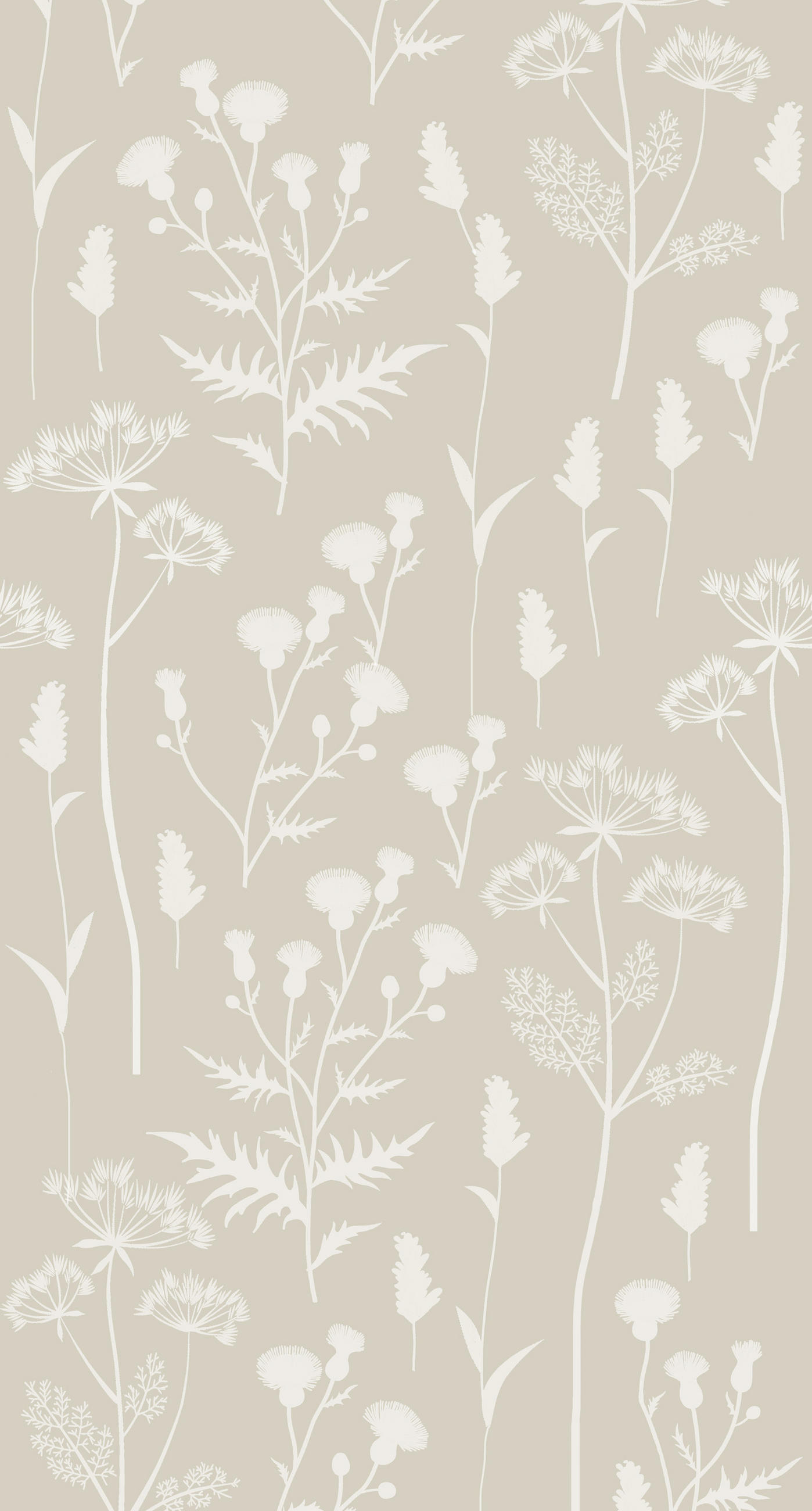 FOTOTAPETE Feldblumen 150 x 279 cm - Beige, Papier (150/279cm) - ESTAhome