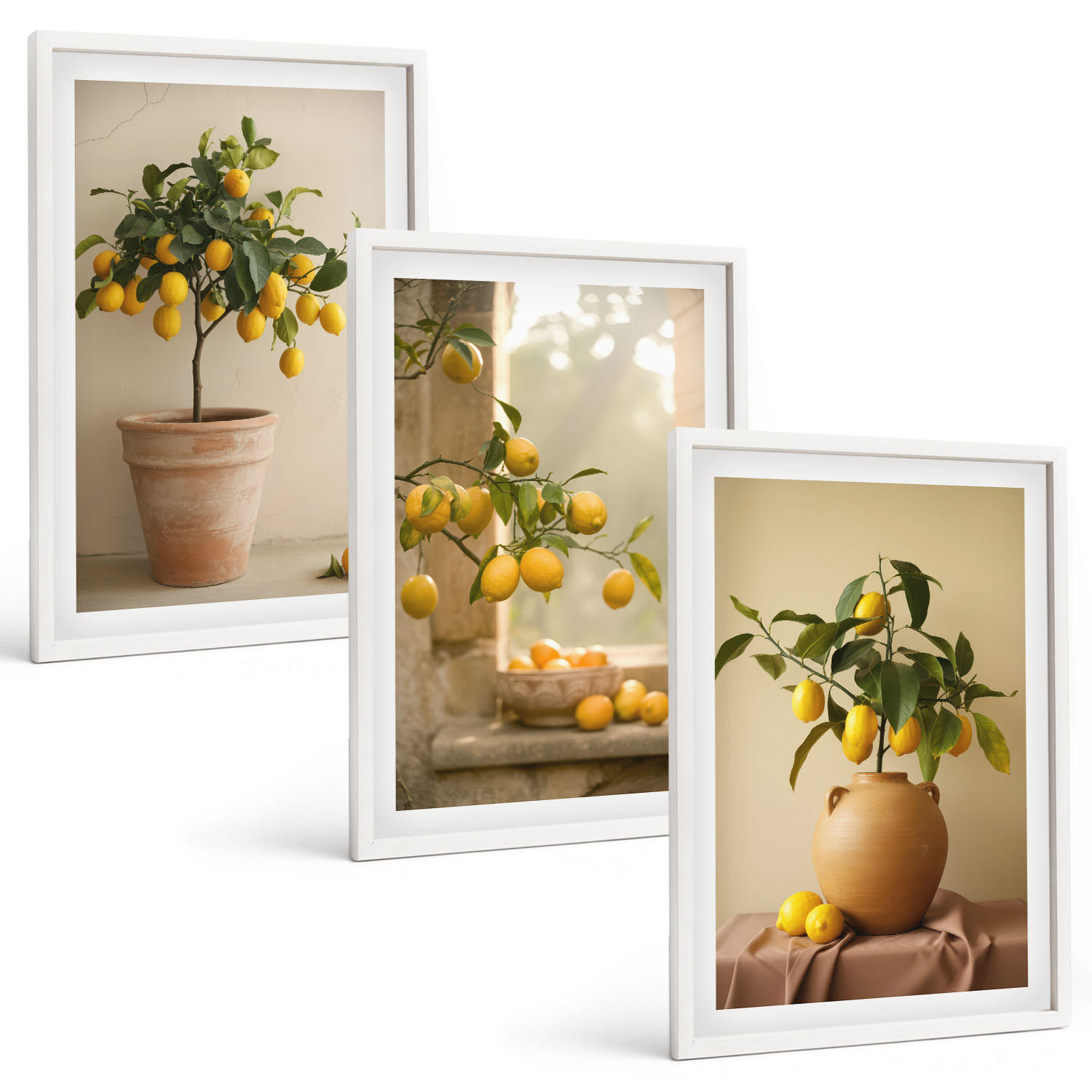 BILDER SET 3er Set - 40x60 cm Weißer Rahmen - Zitronenbäume im Topf - Weiß, Kunststoff (40/60cm) - TULUP