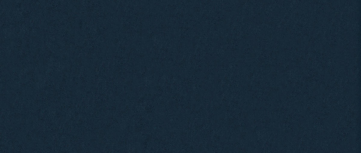 ECKSOFA Mit Schlaffunktion Und Bettkasten TOKYO, Stoff MONOLITH, Dunkelblau, Links - Dunkelblau, Holz (280/190cm) - Kaiser Möbel