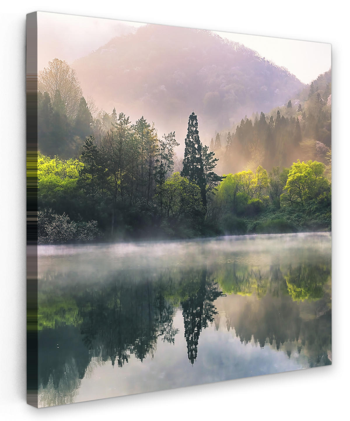 LEINWANDBILD Natur - Bäume - Berge - See - Wasser 50x50 cm - Hellgrün, Textil (50/50cm) - MuchoWow